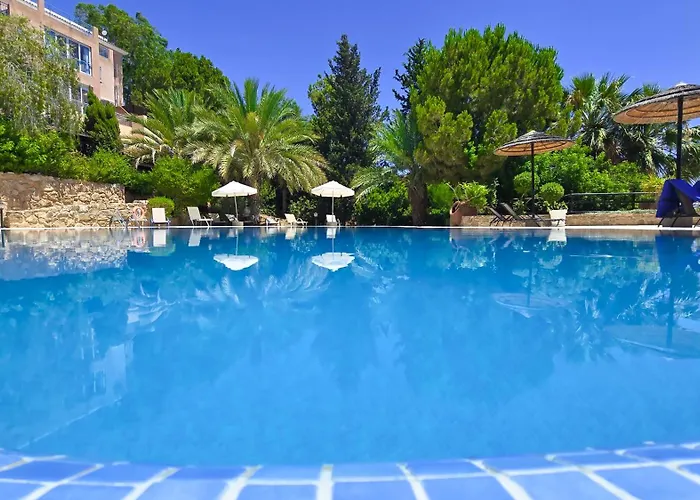 Css Cosmic Smart Superior Sea View